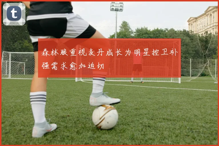 森林狼重视麦丹成长为明星控卫补强需求愈加迫切