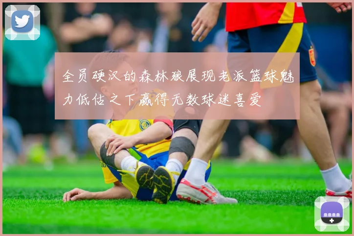 全员硬汉的森林狼展现老派篮球魅力低估之下赢得无数球迷喜爱