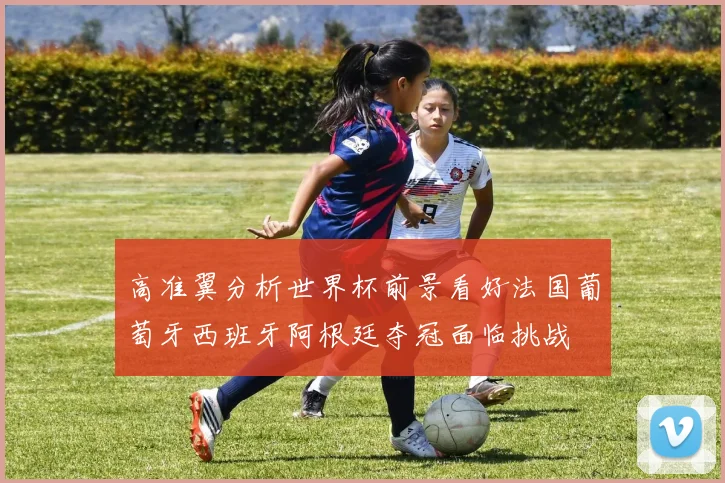 高准翼分析世界杯前景看好法国葡萄牙西班牙阿根廷夺冠面临挑战